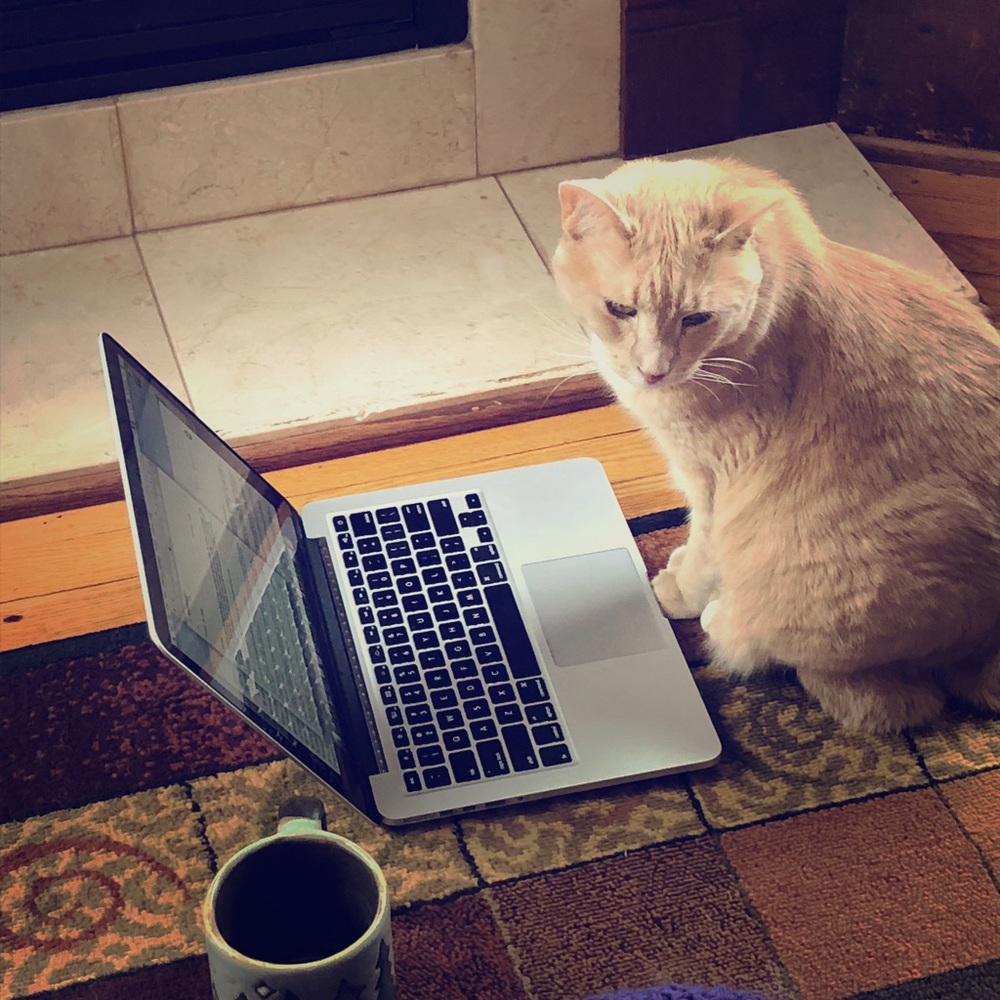 Meet your Posher, Julie k